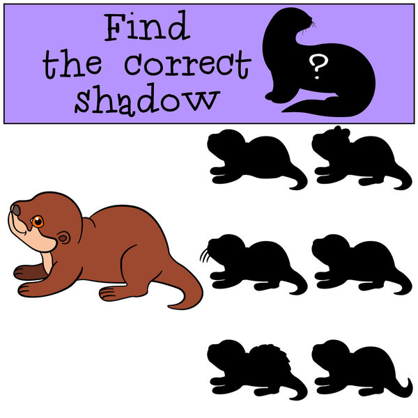 Educational game: Find the correct shadow. Little cute baby otte
