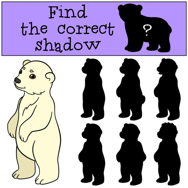 Educational game: Find the correct shadow. Cute baby polar bear.