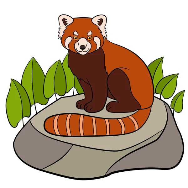 Cartoon wild animals. Little cute red panda smiles. — Stock vektor