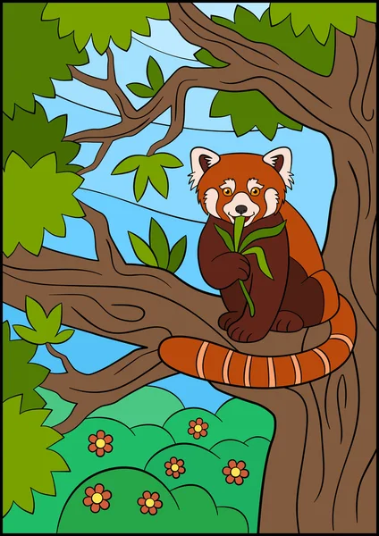Animales salvajes de dibujos animados. Pequeño lindo panda rojo comer hojas . — Vector de stock