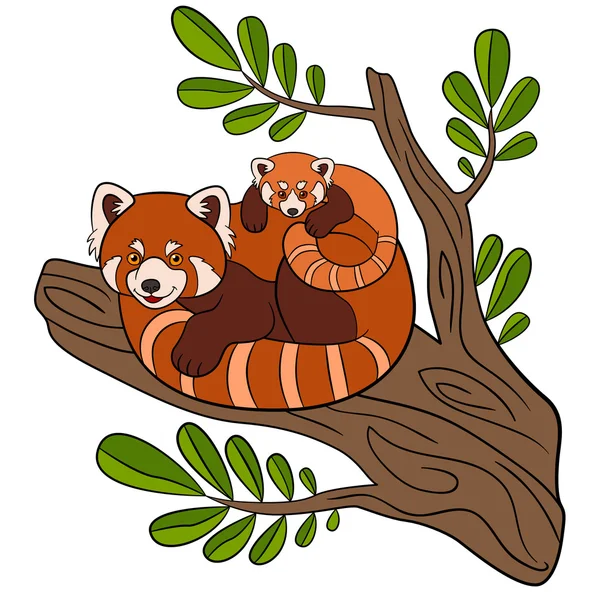 Cartoon wild animals. Mother red panda with her cute baby. — Stock Vector