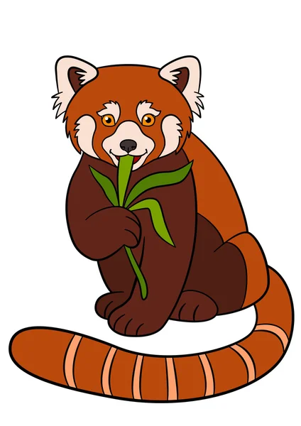 Cartoon wild animals. Little cute red panda eat leaves. — Stock vektor