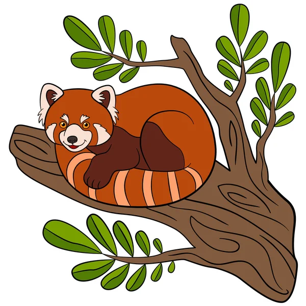 Cartoon wild animals. Little cute red panda smiles. — Stock vektor