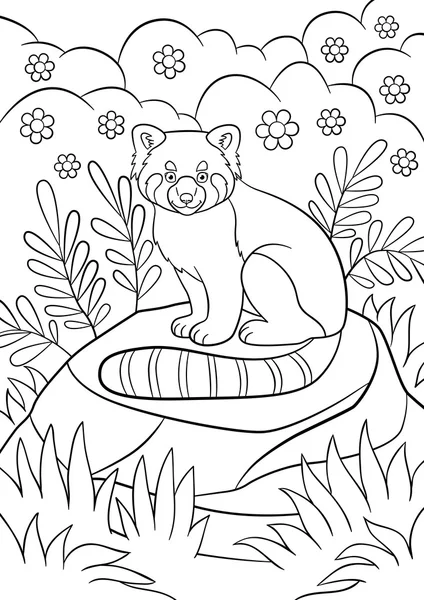 Coloring pages. Little cute red panda smiles. — Stock vektor