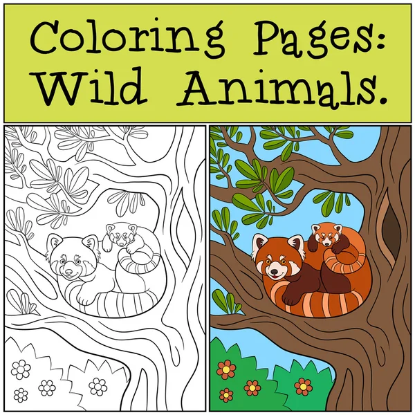 Coloriages : Animaux sauvages. Mère panda rouge avec son bébé . — Image vectorielle
