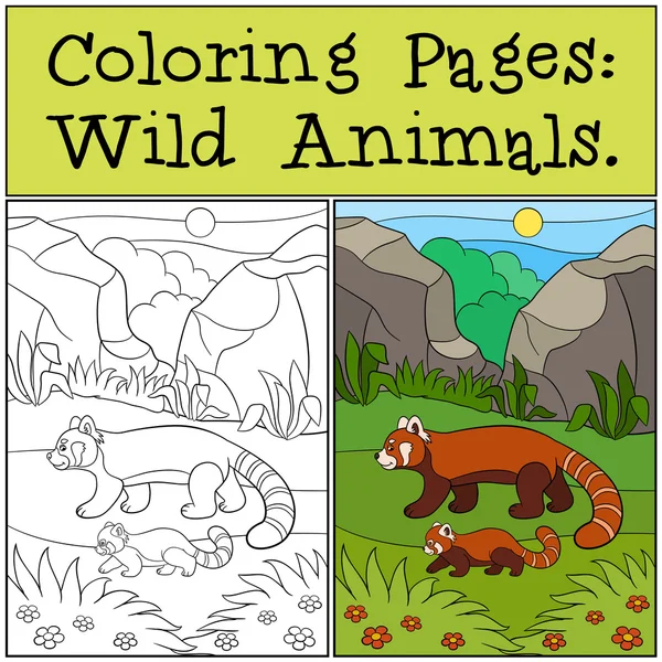 Coloring Pages: Wild Animals. Mother red panda walks with baby. — Stockový vektor