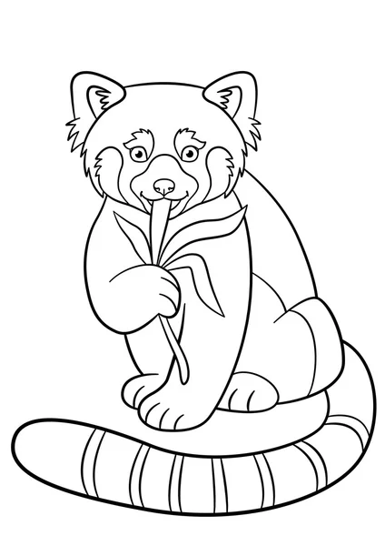 Coloring pages. Little cute red panda eats leaves. — Stock Vector