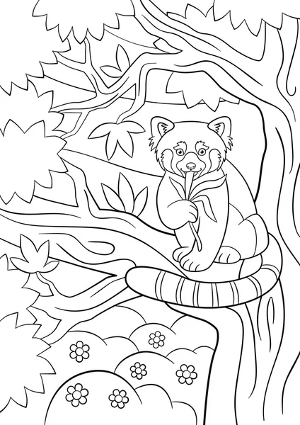 Coloring pages. Little cute red panda eats leaves. — Stock Vector