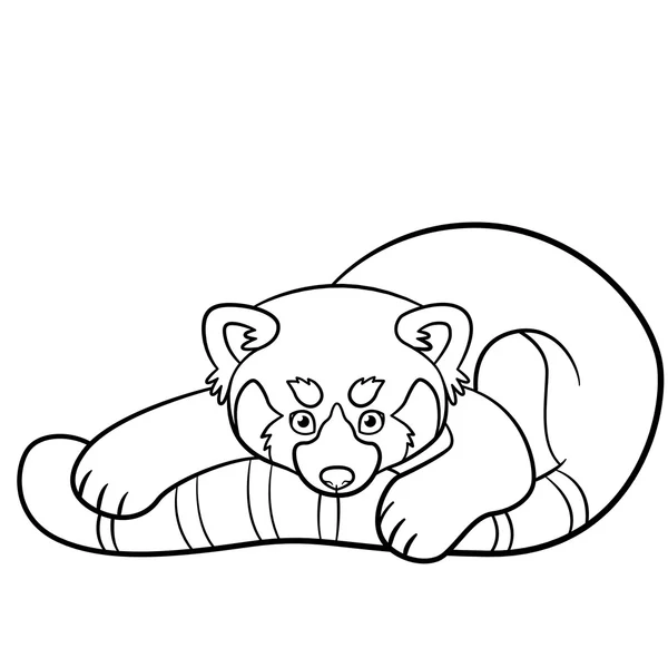 Páginas para colorear. Pequeño lindo panda rojo . — Vector de stock