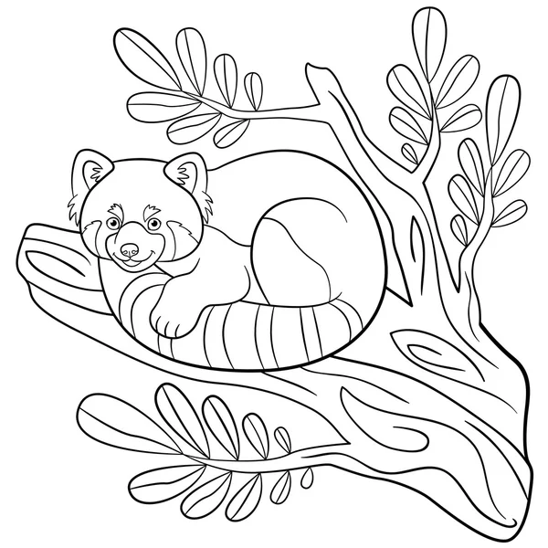 Coloring pages. Little cute red panda on the tree branch. — Stock Vector