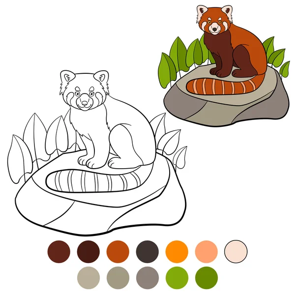 Desenho para colorir: vermelho panda. Pouco bonito vermelho panda sorrisos . — Vetor de Stock