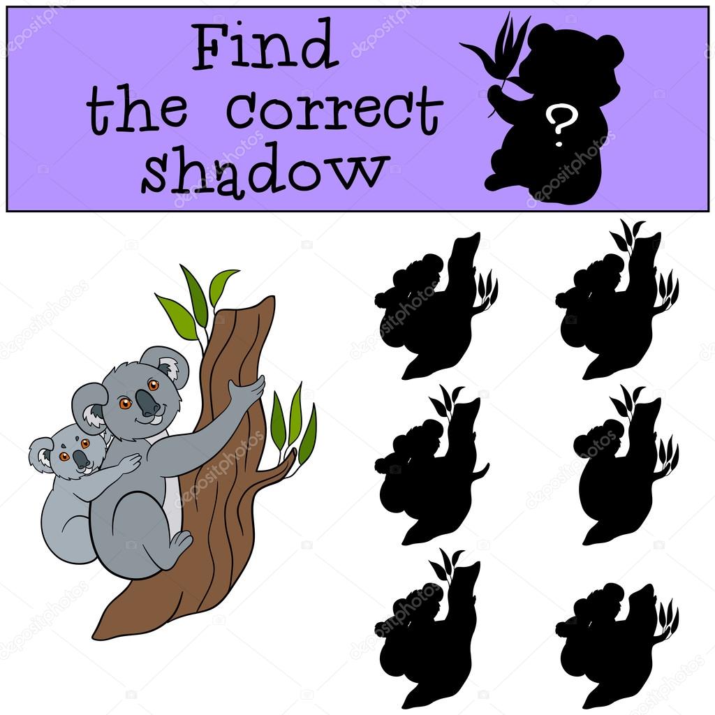 Educational game: Find the correct shadow. Mother koala with bab