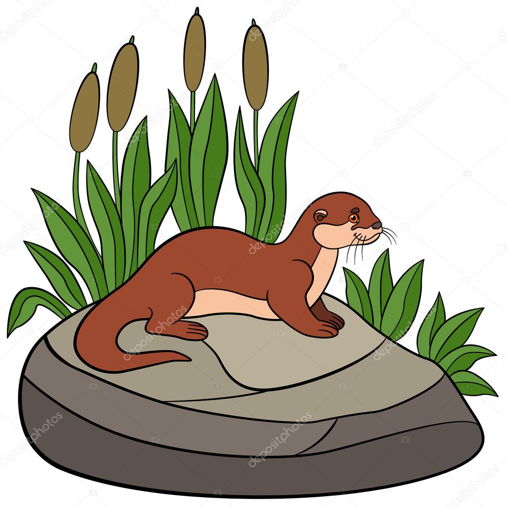 River Otter Illustrations Royaltyfree Vector Graphics