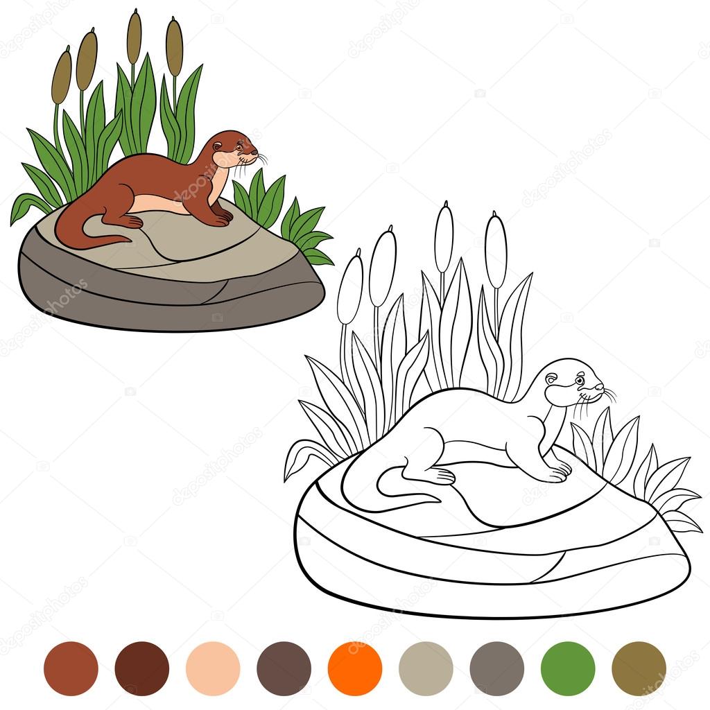 Coloriage Petite Loutre mignon se trouve sur la pierre et les sourires — Vecteur par ya mayka