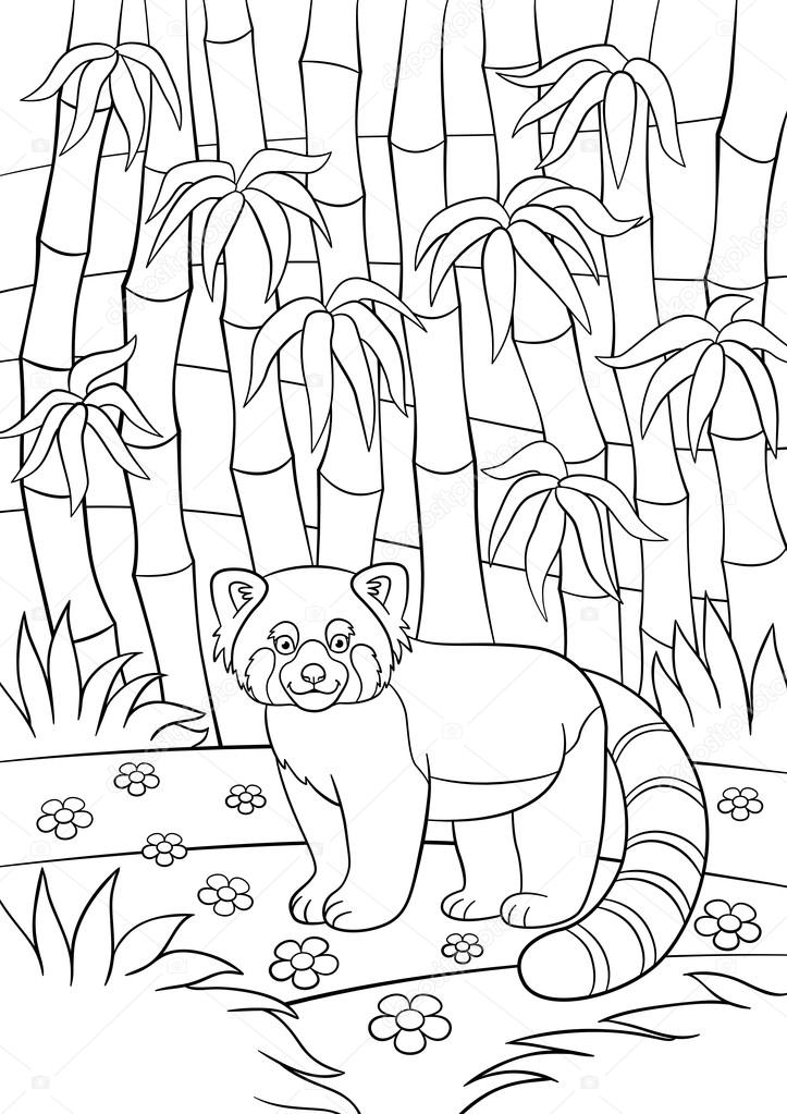 Kleurplaten Kleine Schattige Rode Panda In Het Bos Stockvector