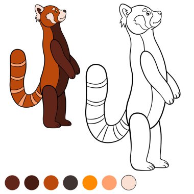 Boyama sayfası: red panda. Küçük şirin kırmızı panda gülümsüyor.