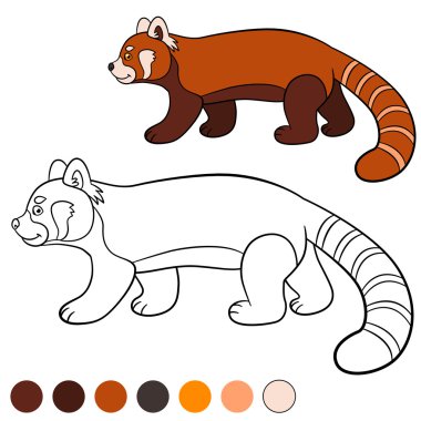 Boyama sayfası: red panda. Küçük şirin kırmızı panda yürür.
