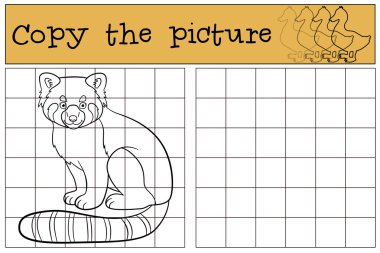 Eğitici bir oyun: resmi kopyalayın. Küçük şirin kırmızı panda gülümsüyor