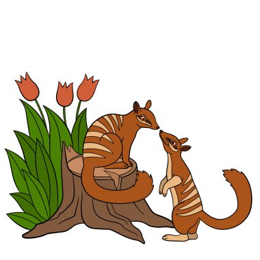 Karikatür hayvanlar. İki küçük şirin numbats.