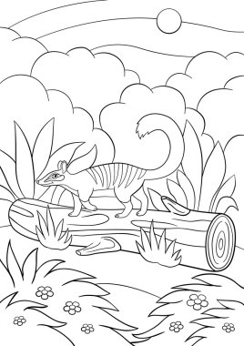 Boyama sayfaları. Küçük şirin numbat oturum açma yürür.