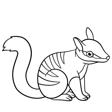 Boyama sayfaları. Küçük şirin bebek numbat gülümsüyor.