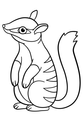 Boyama sayfaları. Küçük şirin bebek numbat standları.