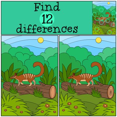 Eğitici bir oyun: bul farklılıklar. Küçük şirin numbat.