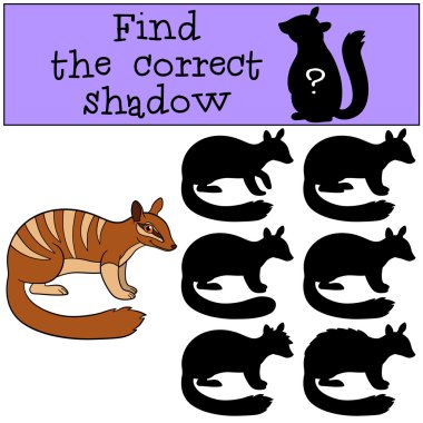 Eğitici bir oyun: doğru gölge bulmak. Küçük şirin numbat sm