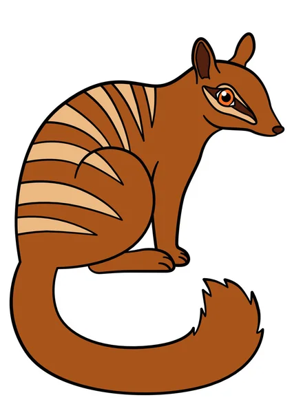 Cartoon animals. Little cute numbat smiles. — Stock vektor