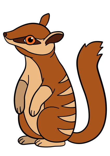 Animales de dibujos animados. pequeño lindo bebé numbat stands . — Archivo Imágenes Vectoriales