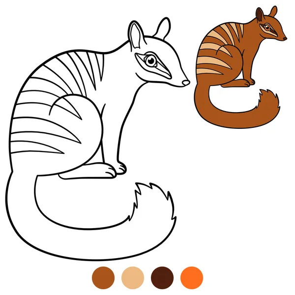 Coloriage. Petit sourire mignon numbat . — Image vectorielle