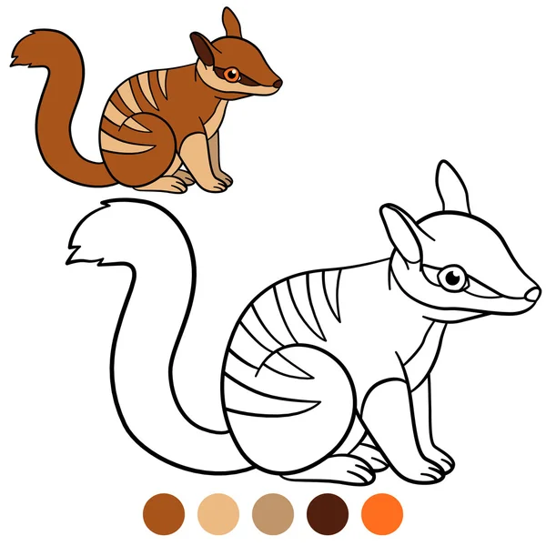 Coloring page. Little cute baby numbat smile. — ストックベクタ
