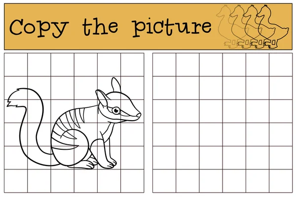 Juego educativo: Copiar la imagen. Pequeño lindo bebé numbat . — Archivo Imágenes Vectoriales