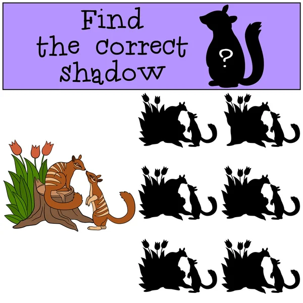 Educational game: Find the correct shadow. Two little cute numba — Διανυσματικό Αρχείο