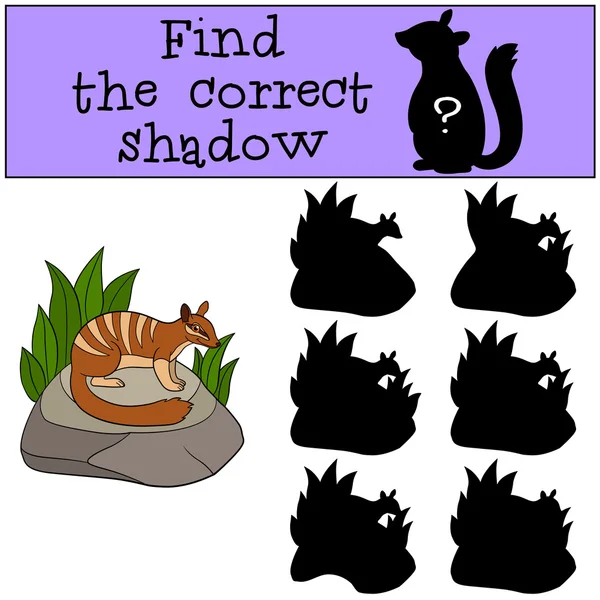Lernspiel: Finden Sie den richtigen Schatten. kleine niedliche Taubheit. — Stockvektor