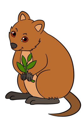 Karikatür hayvanlar. Üretim tesisi ile küçük şirin quokka.