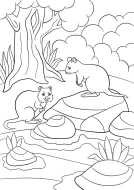 Boyama sayfaları. Ormanda iki küçük şirin quokkas.