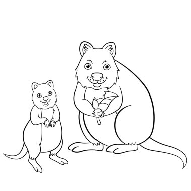 Boyama sayfaları. Onun şirin bebek ile anne quokka.