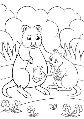 Boyama sayfaları. Şirin bebekleri ile anne quokka.