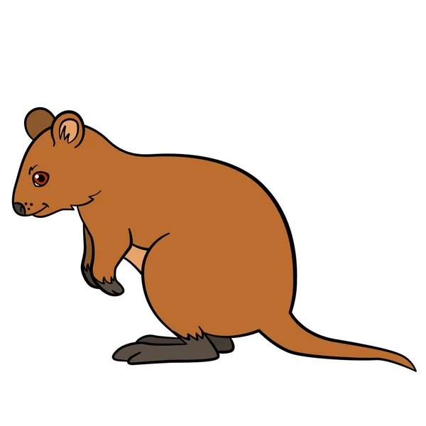 Animais de desenhos animados. Quokka pequeno bonito sorri . — Vetor de Stock