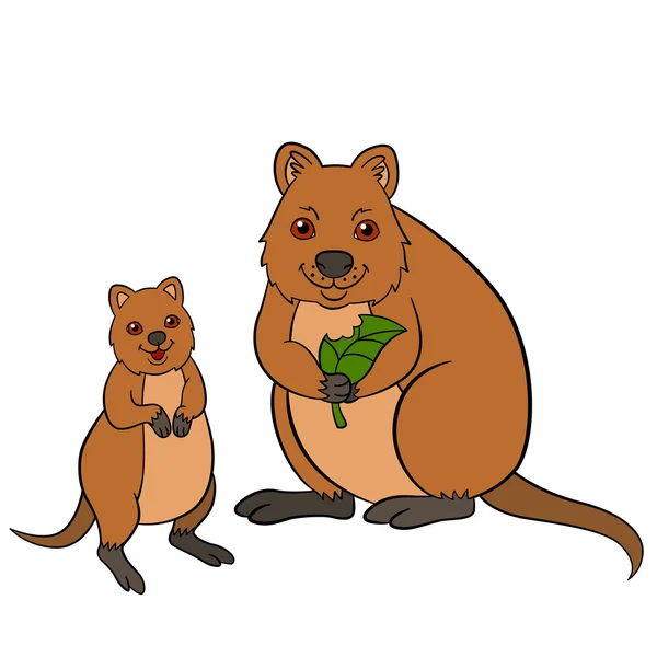 ᐈ Quokka cartoon stock vectors, Royalty Free quokka pictures | download