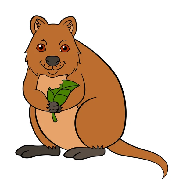 Cartoon animals. Little cute quokka with leaf. — ストックベクタ