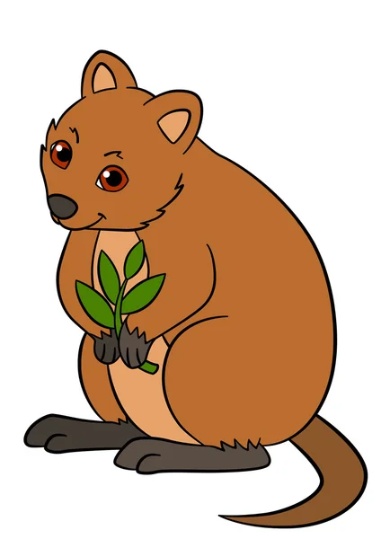 Animais de desenhos animados. Pequeno quokka bonito com planta . — Vetor de Stock