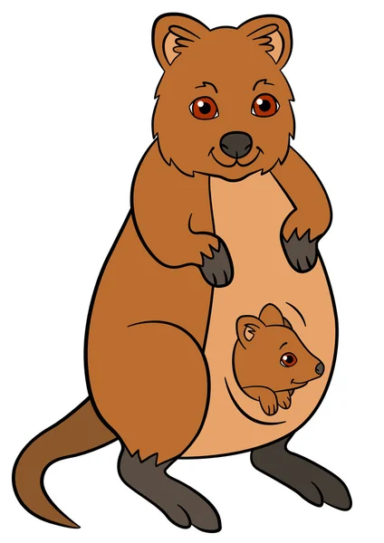 Cartoon animals. Mother quokka with her little cute baby. — Stockový vektor