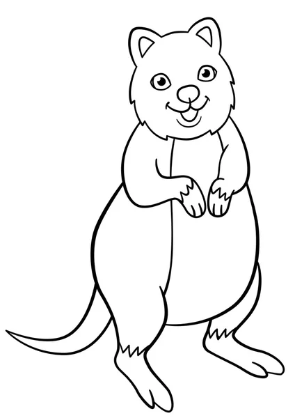 Coloring pages. Little cute quokka smiles. — Stock vektor