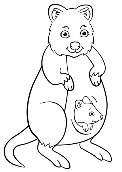 Coloring pages. Mother quokka with her little cute baby. — Stock vektor