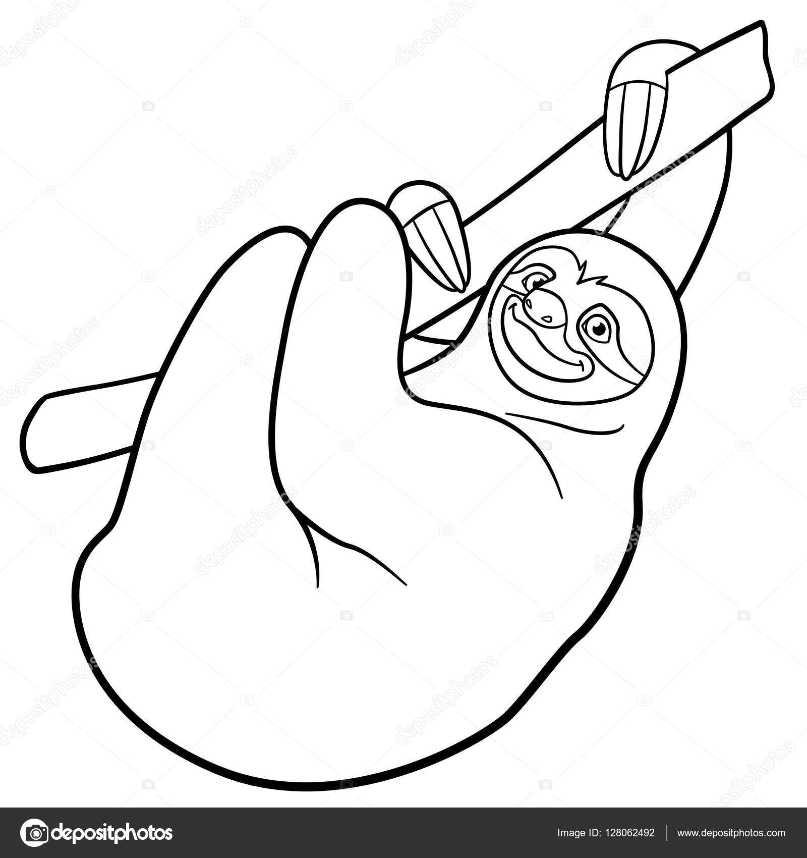 Coloring pages. Cute lazy sloth hangs on the tree. Stock Vector ...