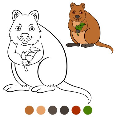 Color Me: quokka. Yaprak ile küçük şirin quokka.
