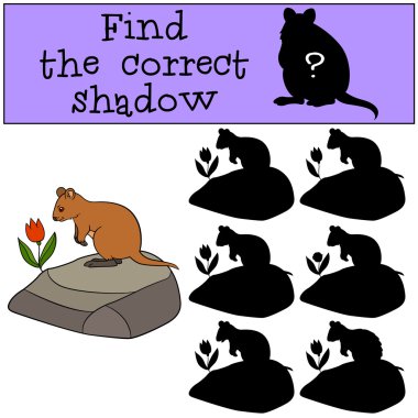 Eğitici bir oyun: doğru gölge bulmak. Küçük şirin quokka.