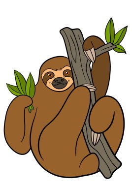 Karikatür hayvanlar. Şirin tembel tembel ağaç üzerinde asılı.